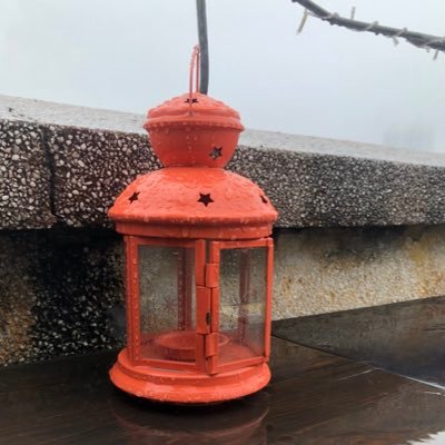 annlaw_annann's profile picture. An operator for website.