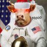 Cdarl2's profile picture. #bitcoin Relevant Sunny