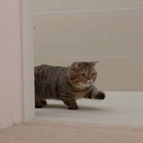 sinsotujinji's profile picture. SaaS企業人事|ミドルベンチャー |新卒1年目|新卒採用責任者|                                  #25卒　#26卒