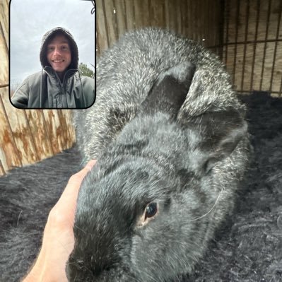 sirjohndeere's profile picture. 