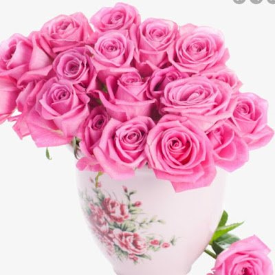 FScreen12221's profile picture. 