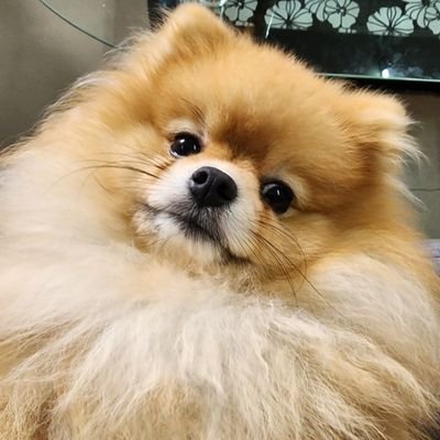 Lovely_1923's profile picture. ❤️💕💞