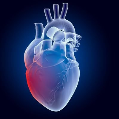 jmandaliya007's profile picture. 