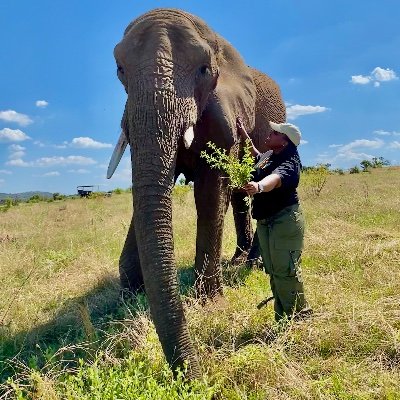 so_ineffable's profile picture. don’t compare your reality to someone else’s fiction.