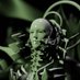 fractalfucker (@fractalfucker) Twitter profile photo fractalfucker (@fractalfucker) Twitter profile photo
