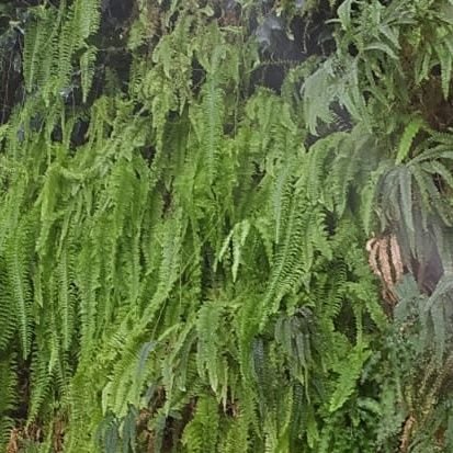 unal49846926's profile picture. 