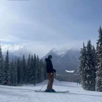 Kieran Reimer (@kieranreimer) 's Twitter Profile