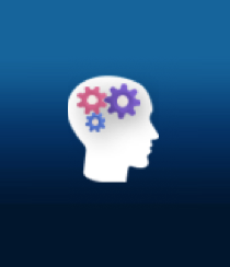 CheckMinder's profile picture. CheckMinder est un outil e-learning gratuit permettant aux utilisateurs de tester leurs connaissances, de progresser et de se mesurer aux autres.