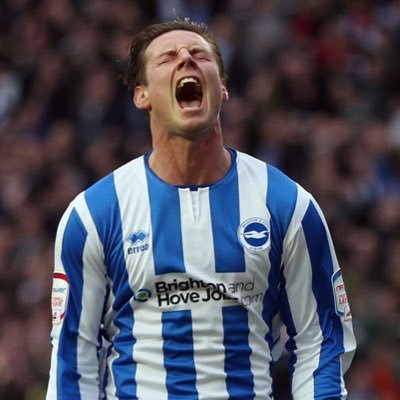 Random Brighton Polls , pics & vids . Any Polls including specific people are just a joke . Please don’t sue me . Up the Albion x