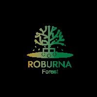 Exploring the wonders of Roburna Forest 🌳 | Nature's harmony in every leaf 🍃 | Home to diverse life and tranquility.🌲