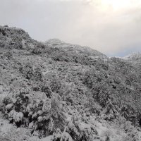 MaYa (@maya171994) Twitter profile photo