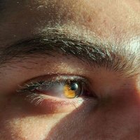 remind_me_to_4get (@remind4get) 's Twitter Profile