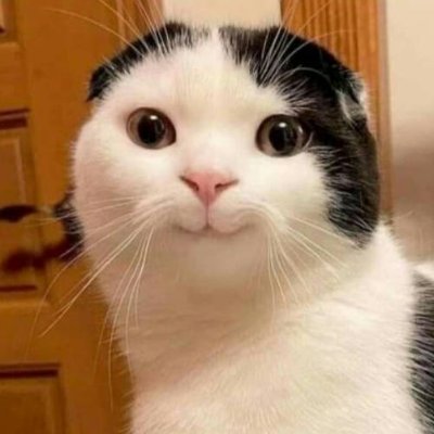 Crashlogs's profile picture. 