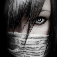 X_CryptoVerse (@x_cryptoverse) 's Twitter Profile