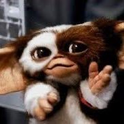 koujumovie's profile picture. 趣味は映画や海外ドラマ鑑賞。特に洋画(Good Will Hunting, The Shawshank Redemption, John Carpenter’s The Thing, etc.)や韓国の映画が好み。個人的に怖かったホラー映画はThe Blair Witch Project, The Ring👻