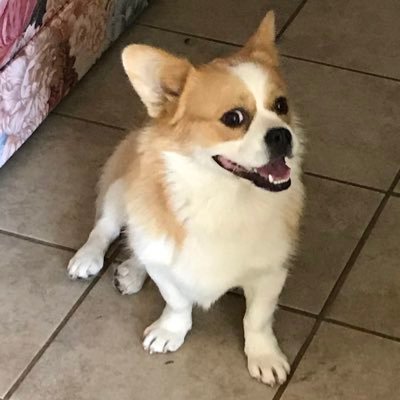 741IYKYK's profile picture. I like 🧸 🦋🍿🕹️🌑🚀 $TINFOIL$