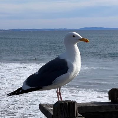 Student @UCSanDiego | Natural Language Processing