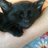 sheisvicious's profile image