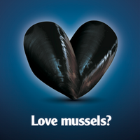 Spring Bay Mussels (@springbaymussel) 's Twitter Profile
