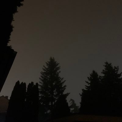 jskyhzxaklwz's profile picture. .