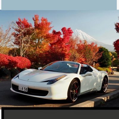 🐓酉年、投資💰、♨️めぐり、旅行、🚗車、🎵classic音楽、🎻violin、室内楽、Fx自動取引プログラム自作 #Tesla MSP100D、M3Pの2台と #Ferrari #458spider 白に乗ってます。