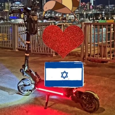 Standing with Israel 🇮🇱 עם ישראל חי | Old account: @jhunternz