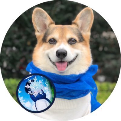 yuzu_corgi726 Profile Picture