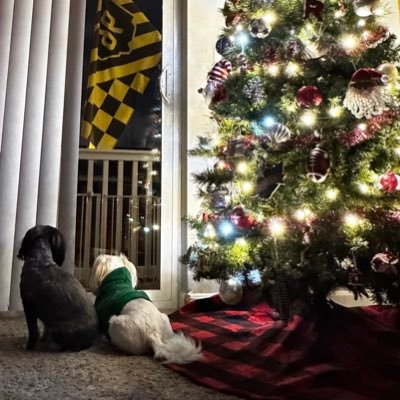 CrewPup96's profile picture. 🇺🇸Sposed to be a parody acct. Its my speak from the heart page. #Crew96⭐️ ⭐️ ⭐️ till we die, in love w/#CBJ & #GoBucks. #Deadheads 4life #GratefulCrew