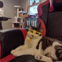 Dave (@davidbeissel) 's Twitter Profile