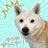 pooh_taro_gyoza