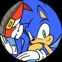 ✨ Sonic Aficionado ✨(@vertekins) 's Twitter Profile Photo