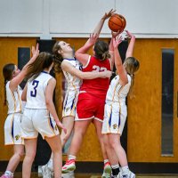 Jayna Handel (@jaynahandel) 's Twitter Profile