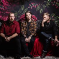 A Lot Like Birds (@alotlikebirds) 's Twitter Profile