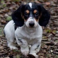 Christ is all (@deadtosinalive) 's Twitter Profile