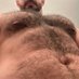 Chest Fur Sir 🔜 MAL (@whosyoursirnow) Twitter profile photo Chest Fur Sir 🔜 MAL (@whosyoursirnow) Twitter profile photo