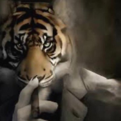 loolfwend's profile picture. ⁉️