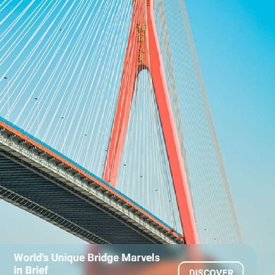 mamman1709's profile picture. 