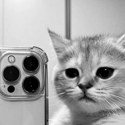 HardikM96828001's profile picture. Quant Finance researcher-in-progress | Markets, math & machine learning | Sharing insights from research & practice