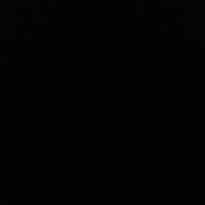 ThmLHong1's profile picture. 