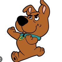 Grande Pero (@thedogpero) 's Twitter Profile