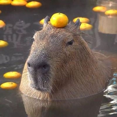 kavourias's profile picture. 