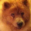 Kathy Solem - @Kithielynn - Twitter