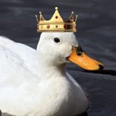 Duckkingxxx's profile picture. 