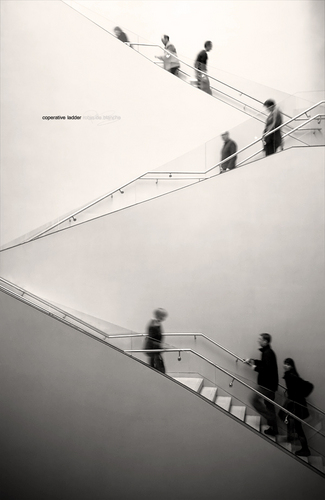 theoutposts's profile picture. 