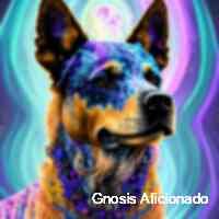 genesis beasts - exclusive community filled with top tier stockcrypto trades, nft alpha & daily market analysis.🐺 noti’s on👀