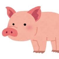 ポケカが好きな豚です！好きなポケモンはナエトル、フシギダネ！
#ナエトル
#フシギダネ
#ポケカ