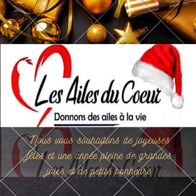 ailes du coeur H-K