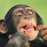 Murad0207's profile picture.