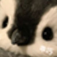 星尺 (@xi_ch_) 's Twitter Profile