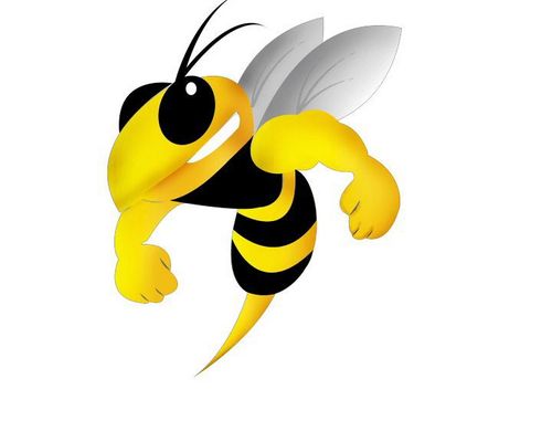 Twitter feed updating supporters on efforts to bring the world famous Coventry Bees back to the Coventry area and back to the top tier of British Speedway.